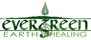 Evergreen Earth Healing initial logo design concept #3